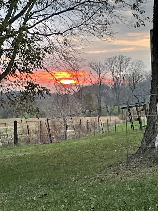 Mt Carmel Illinois 7