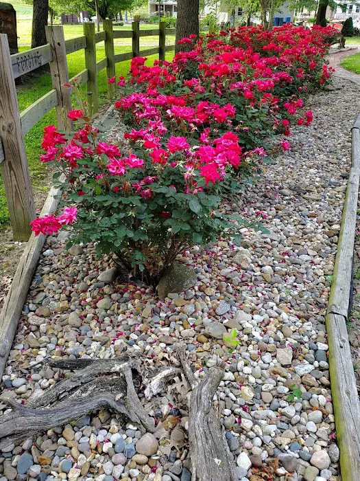 Mt. CarMerriel RV Park 10