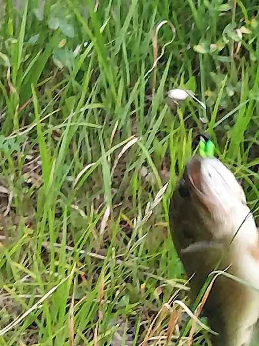 Gnawbone Campground 10