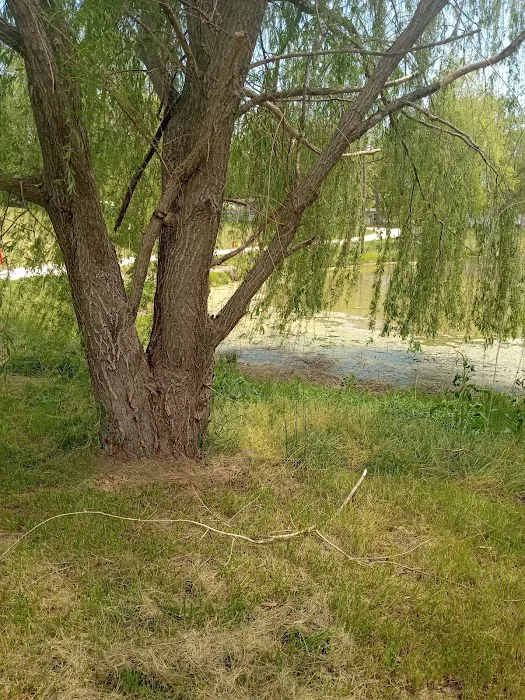 Tomahawk Campground 2