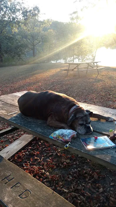 Sherwood Forest Campground 9
