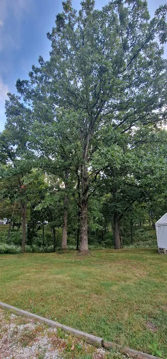 Sherwood Forest Campground 7