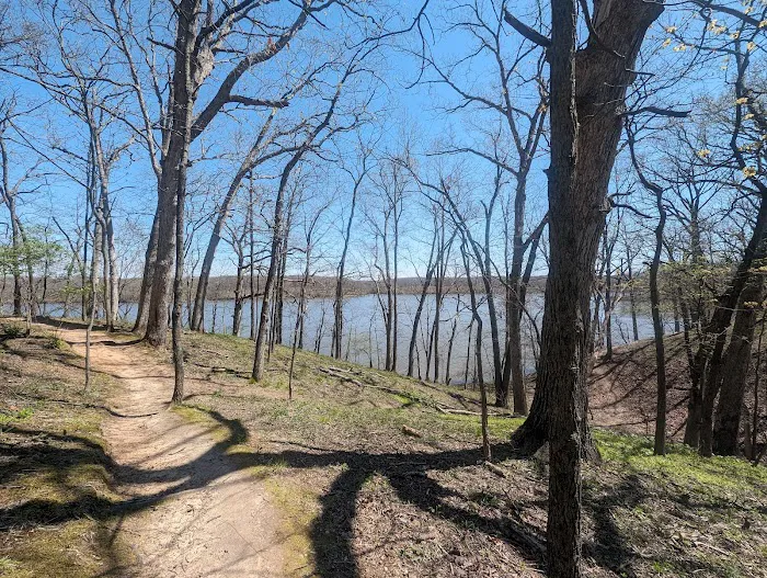 Lake Lou Yaeger Campground 10