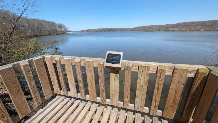 Lake Lou Yaeger Campground 5
