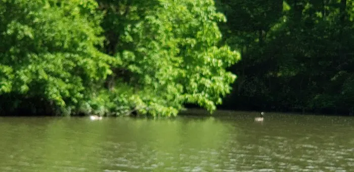 Greenfield Rives Lake Camping 7