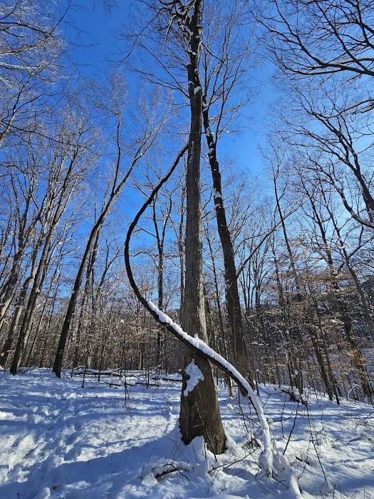 Scout Ridge Youth Campground 8