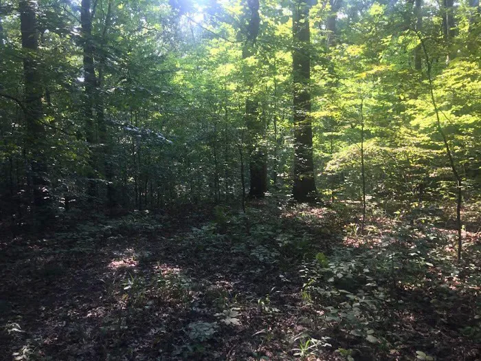 Scout Ridge Youth Campground 4