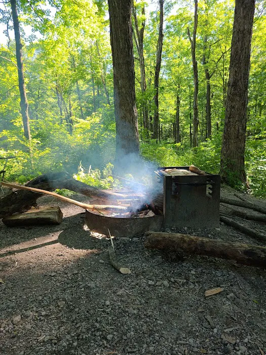Mason Ridge Camping Area 7
