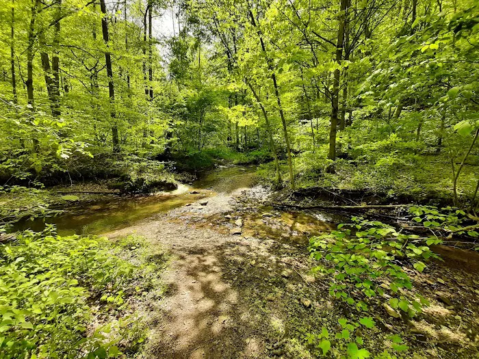 Mason Ridge Camping Area 6