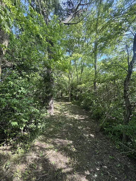 Mohawk Camp Ground 10