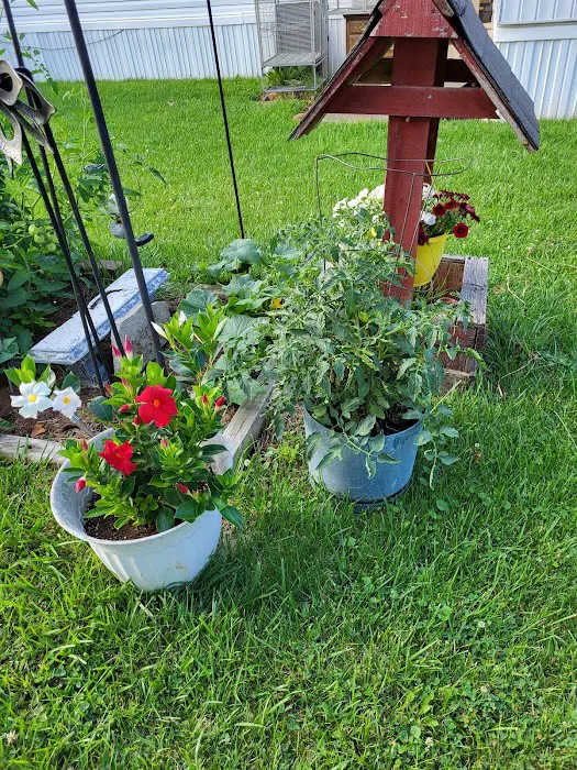 Quail Creek Mobile Home Park 10