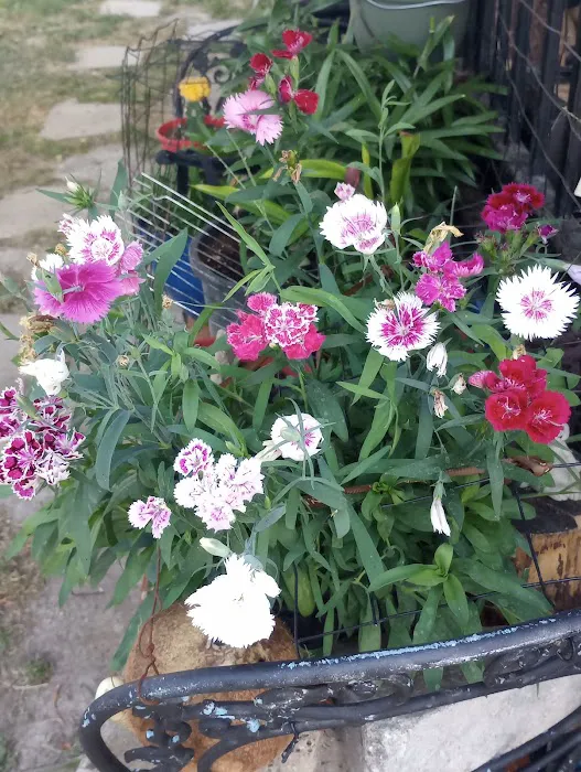 Spring Valley Mobile Home Park 3