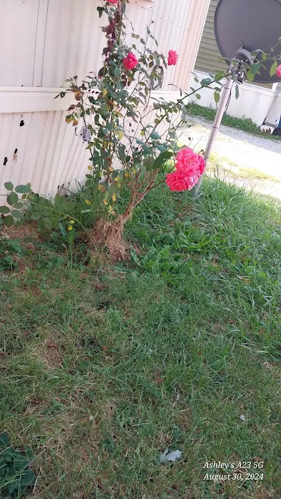 Spring Valley Mobile Home Park 9