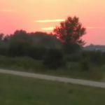 South View Estates