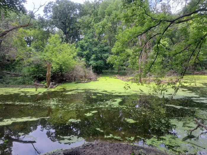 Deerwood Park Evansdale Iowa 10