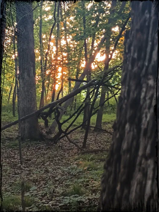 George Wyth State Park Campground 8