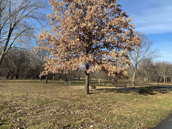 Fogdall Campground 6