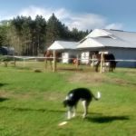 Ukarydee Equestrian Camping