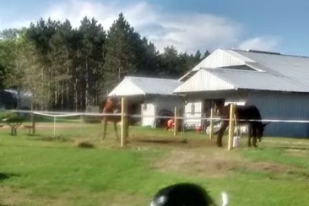 Ukarydee Equestrian Camping