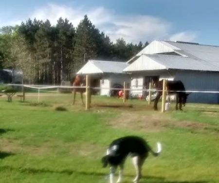 Ukarydee Equestrian Camping
