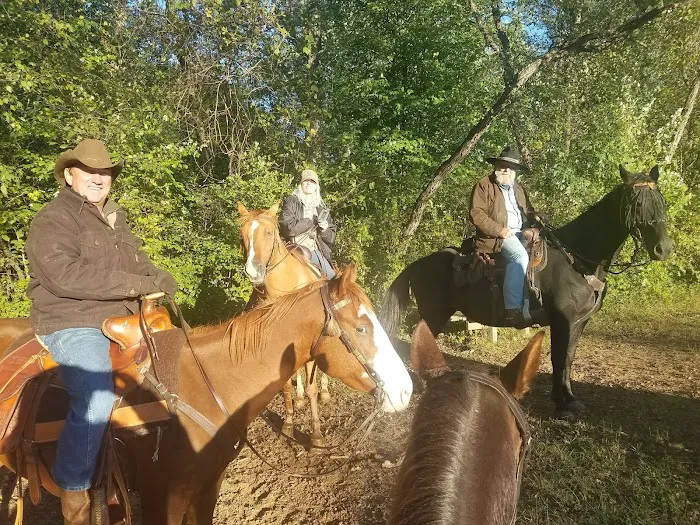Ukarydee Equestrian Camping 5