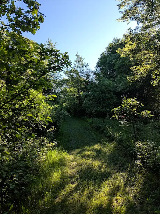 Buckhorn Campground 7