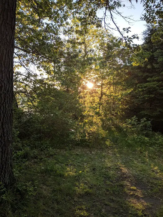 Buckhorn Campground 4