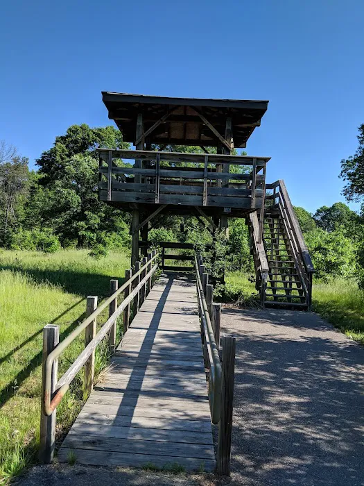 Buckhorn Campground 10