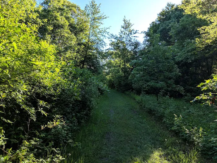 West Backpack Campsites 7