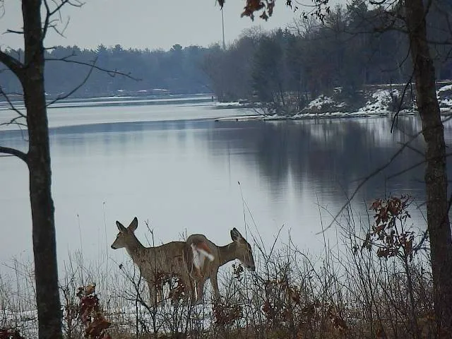 Castle Rock Lake Campground 5