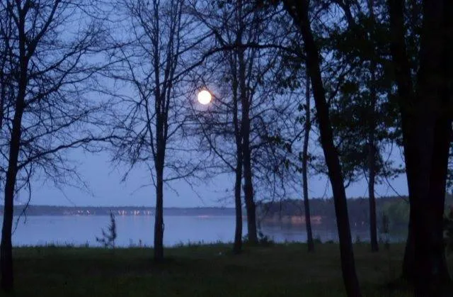 Castle Rock Lake Campground 8
