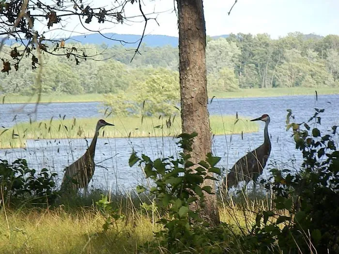 Castle Rock Lake Campground 6