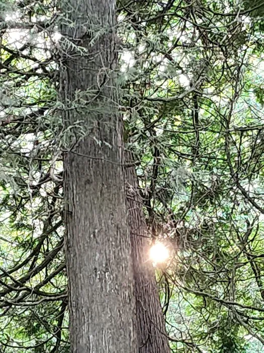 Big Lake Campground 8