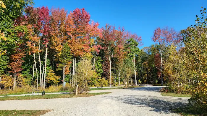 Brown County Reforestation Camp Campground 3