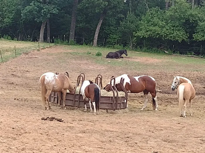 Wild West Campground and Corral 7