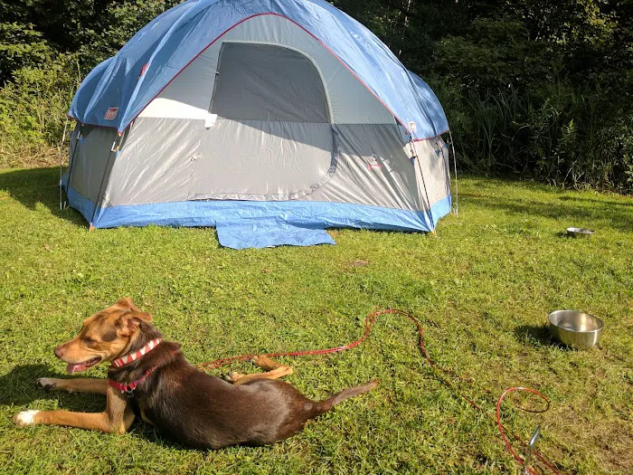 Fawn Lake Campground 7