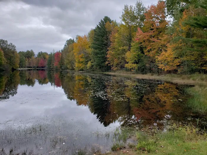 Fawn Lake Campground 4