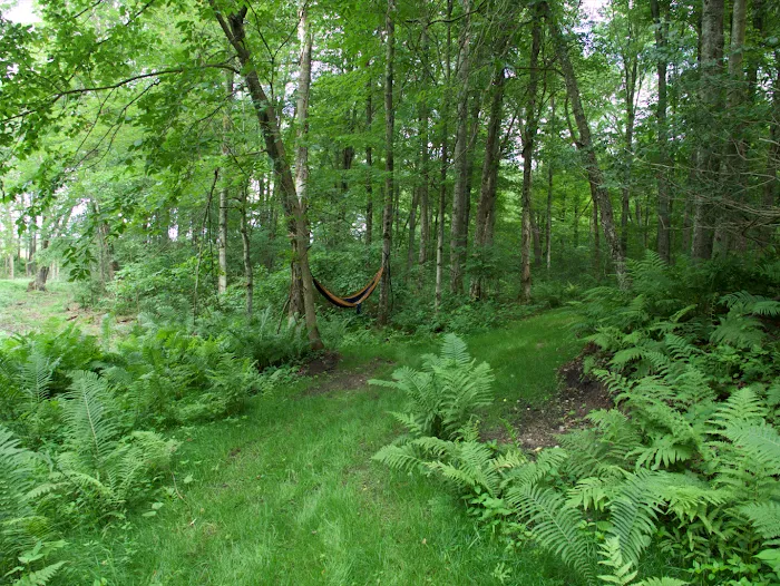 Springhetti Acres 3
