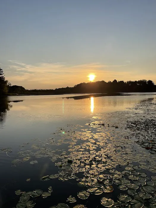 Collins Park 3