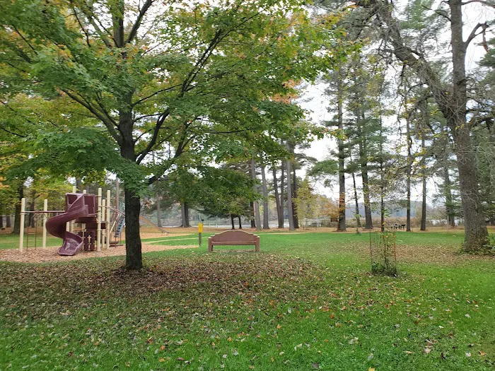 Collins Park 1