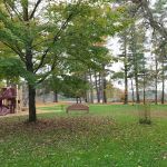 Collins Park