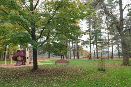 Collins Park