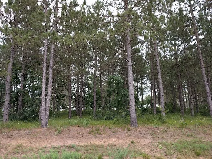 Homegrounds RV Park 8