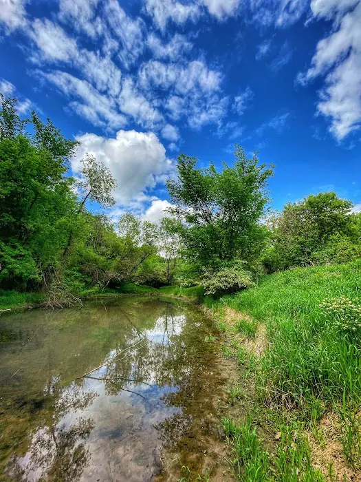 Wet Bark Recreation Area 1