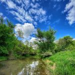 Wet Bark Recreation Area