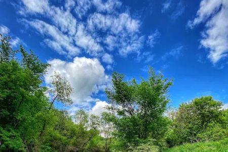 Wet Bark Recreation Area