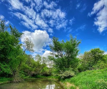 Wet Bark Recreation Area