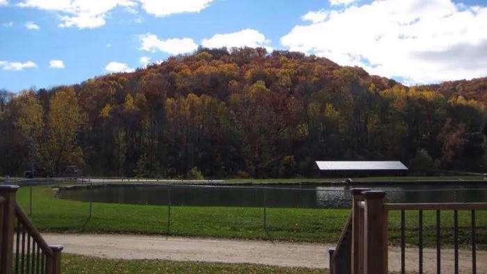 Money Creek Haven, Inc. 3