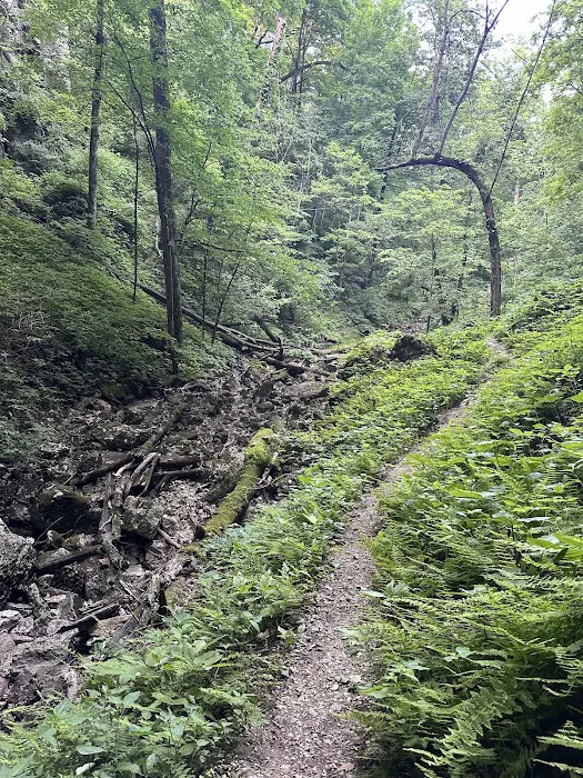 Riverside Park Campground 6