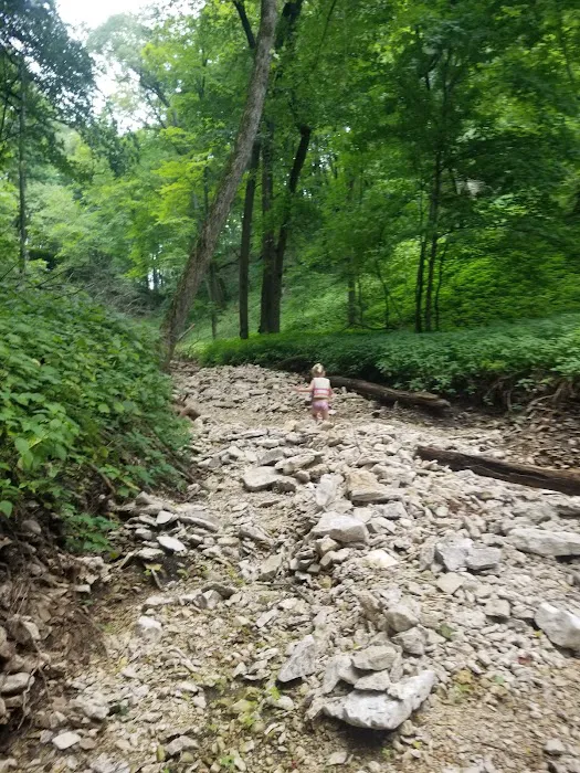 Kendallville Park 5